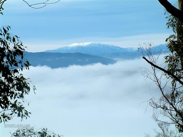 Above the Clouds, view from Mt Buffalo, Victoria